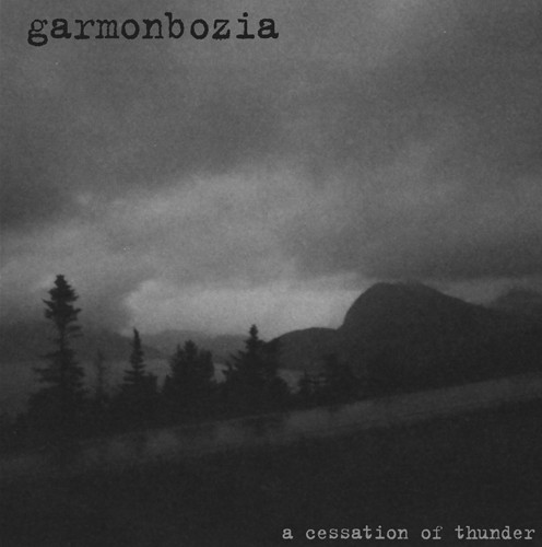 garmonzophobia/silence means death –  split lp