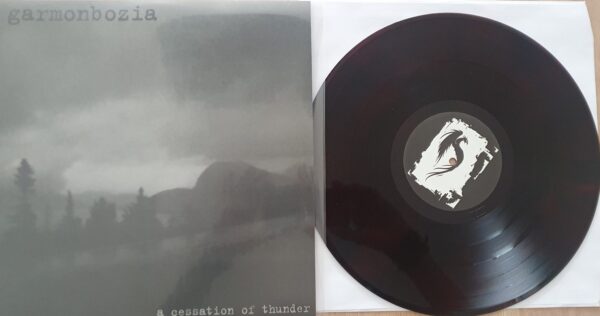 garmonzophobia/silence means death –  split lp